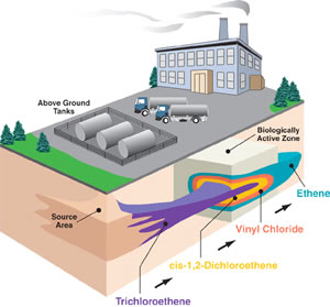 Enironmental Bioremediation